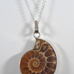 Colgante Anmonites