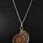 Colgante Anmonites